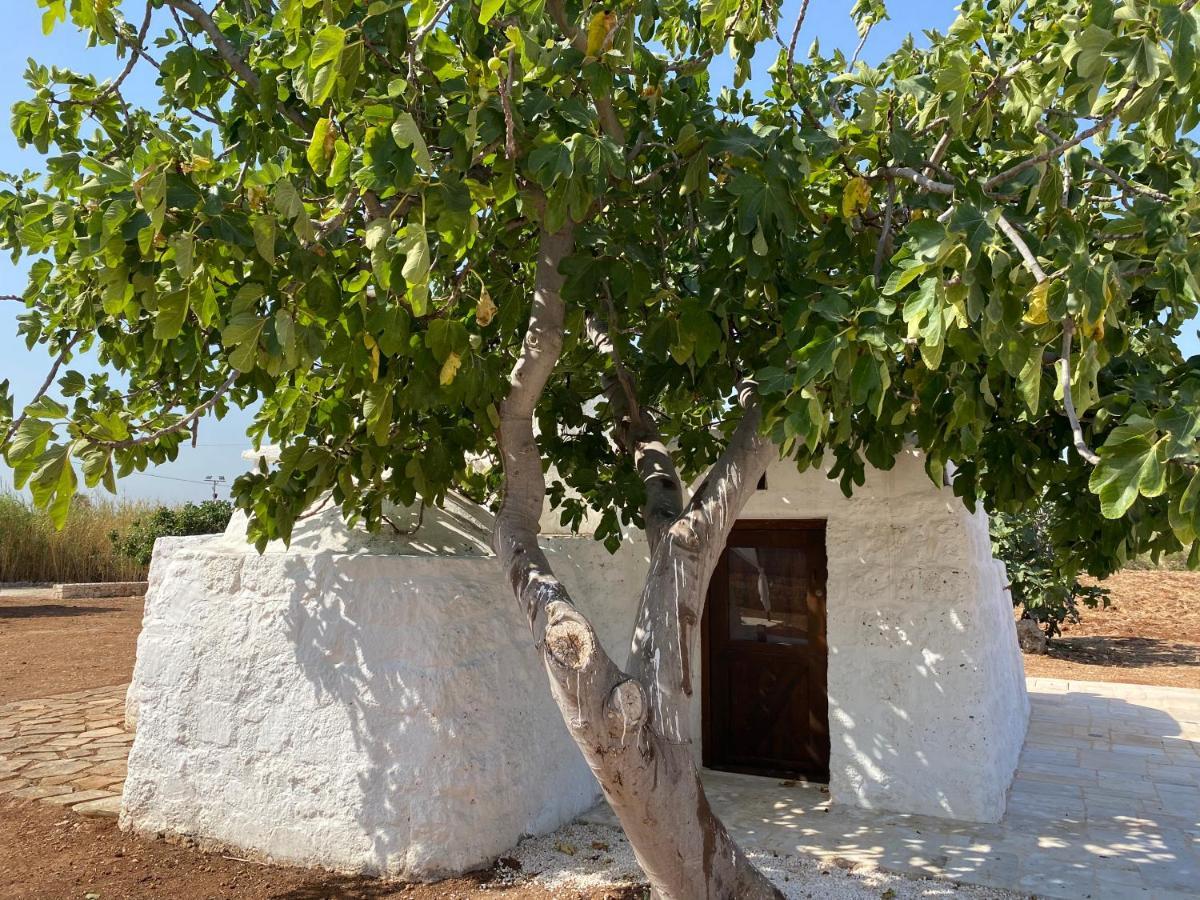 Trullo Seaside Polignano Villa Polignano a Mare Dış mekan fotoğraf